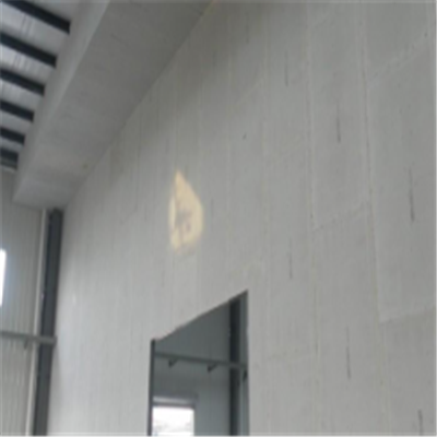 南漳宁波ALC板|EPS加气板隔墙与混凝土整浇联接的实验研讨